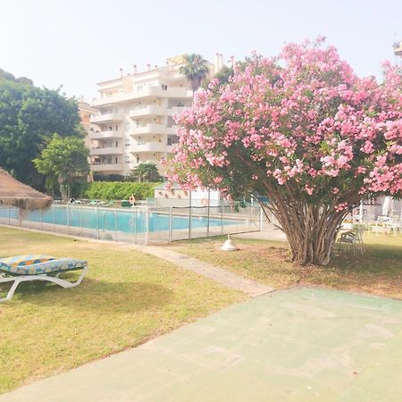 Estudio Luminoso En Puerto Marina 贝纳尔马德纳 外观 照片