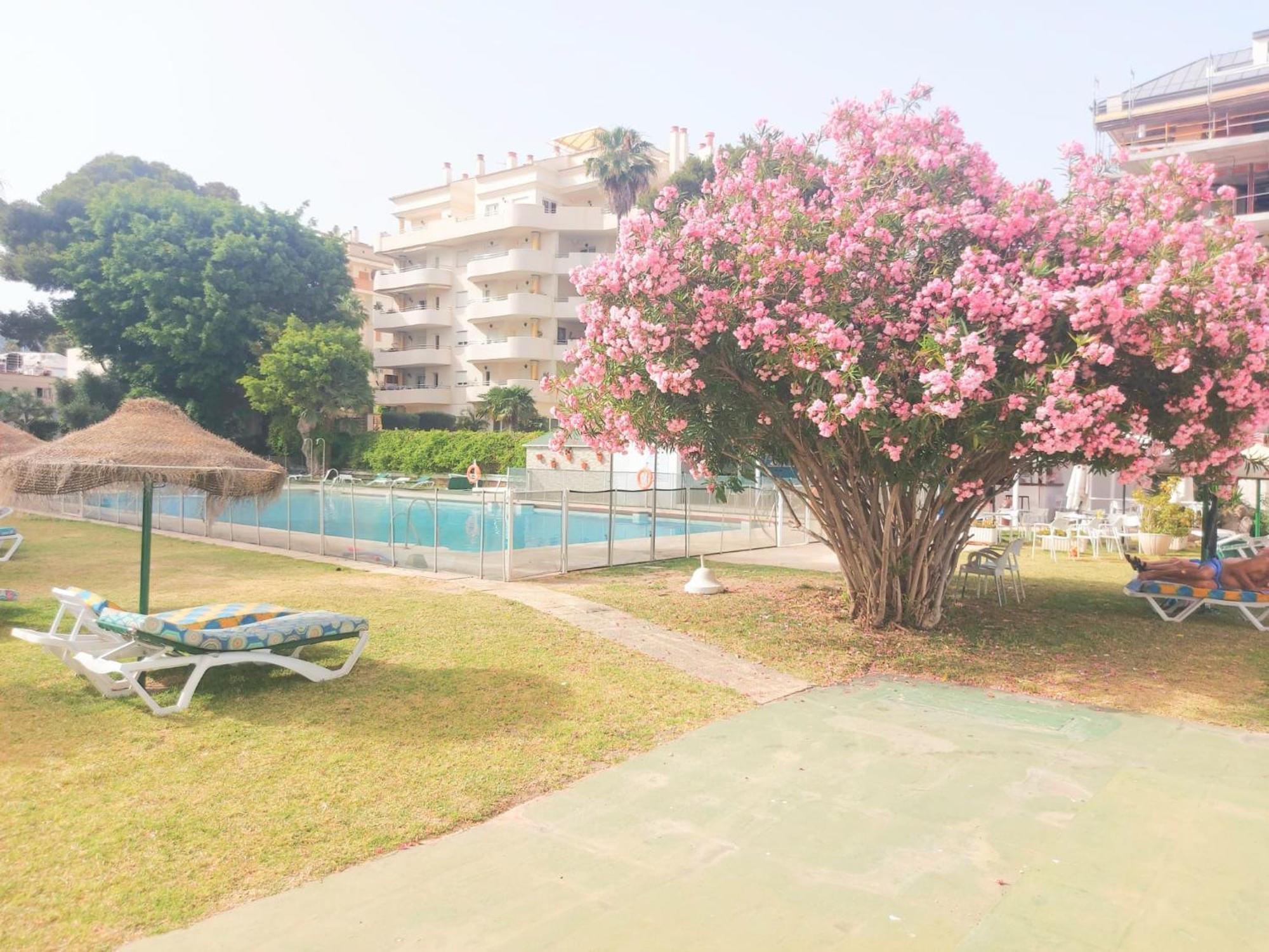 Estudio Luminoso En Puerto Marina 贝纳尔马德纳 外观 照片